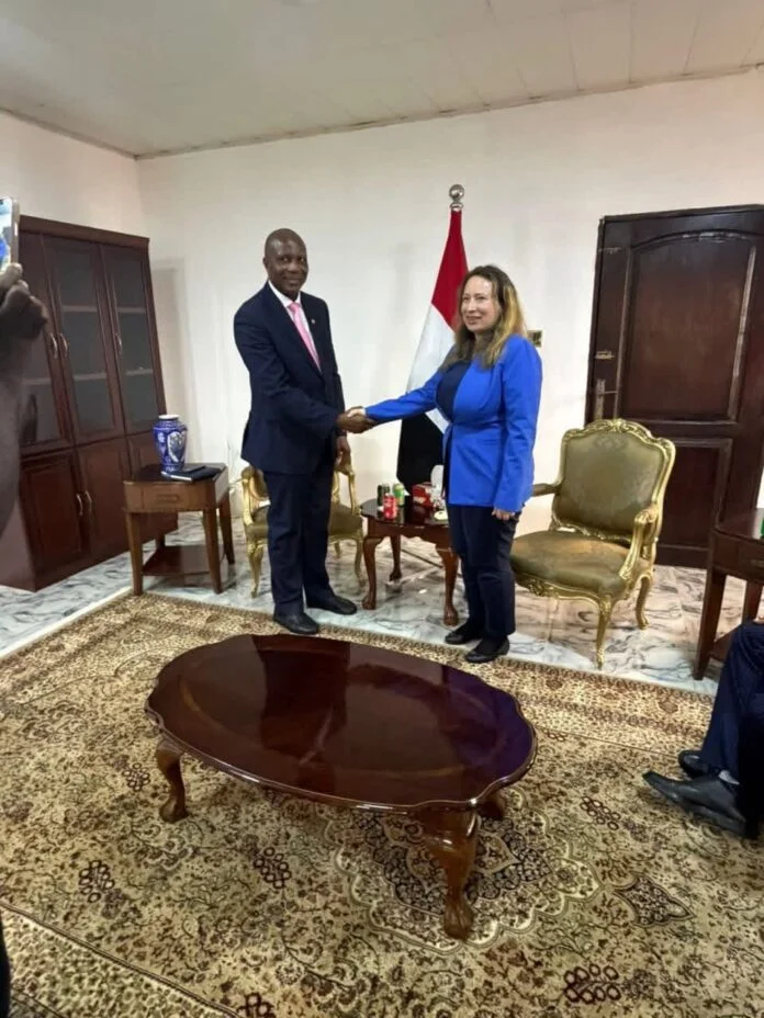 NASSIT Seeks Egyptian Alliance to Cover Informal Sector