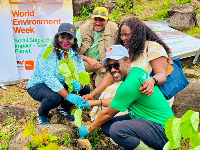 Orange Sierra Leone and Tacugama Plant 5,000 Trees for World Environment Day