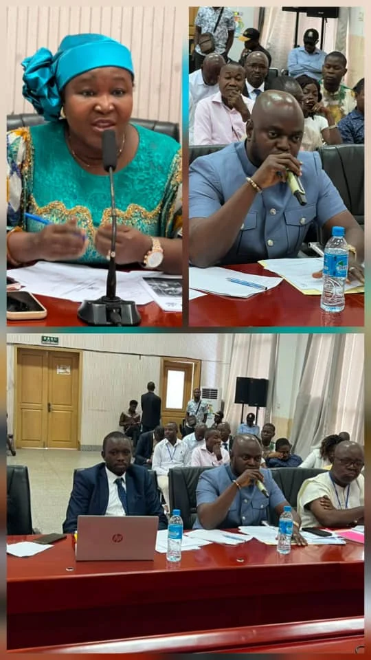Parliamentary Committee Demands Action on National Stadium Delays