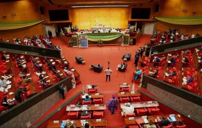 ECOWAS Parliament Speaker Emphasizes Dialogue for Sustainable Peace